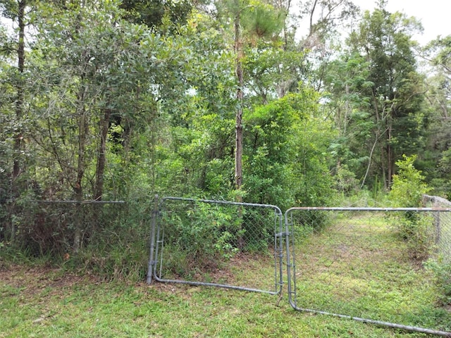 19308 Wildwood Dr, Brooksville, FL 34601 - photo 4