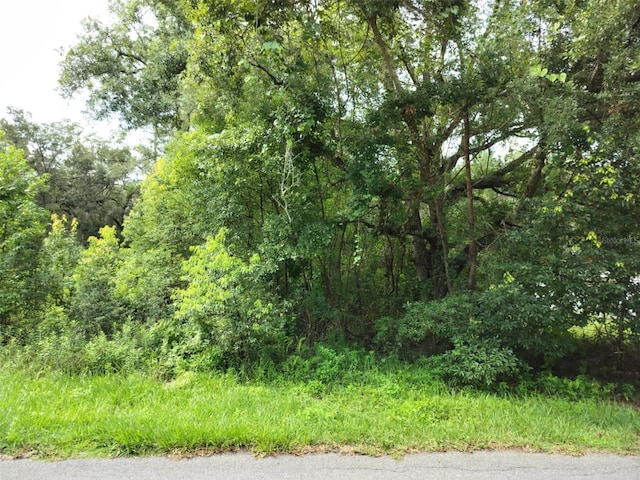 19308 Wildwood Dr, Brooksville, FL 34601 - photo 7