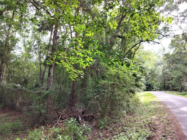 19308 Wildwood Dr, Brooksville, FL 34601 - photo 8