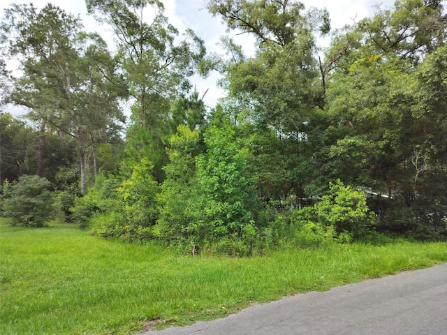 19308 Wildwood Dr, Brooksville, FL 34601 - photo 9