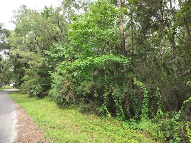19308 Wildwood Dr, Brooksville, FL 34601 - photo 10