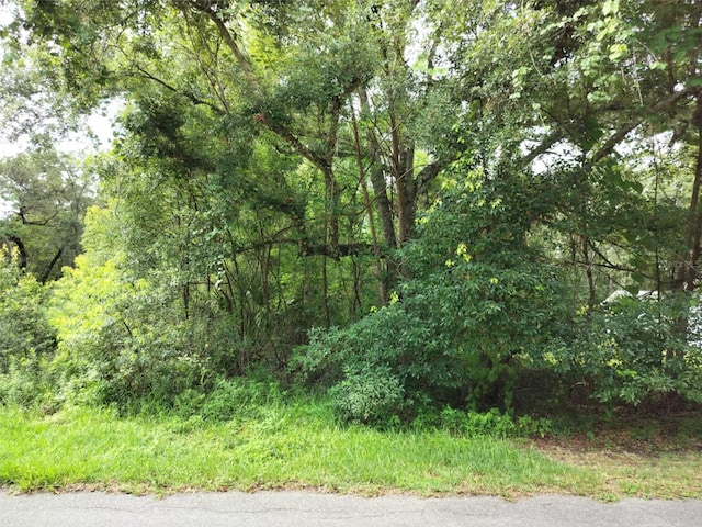 19308 Wildwood Dr, Brooksville, FL 34601 - photo 11