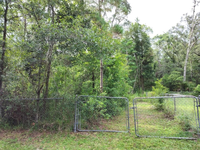19308 Wildwood Dr, Brooksville, FL 34601 - photo 12