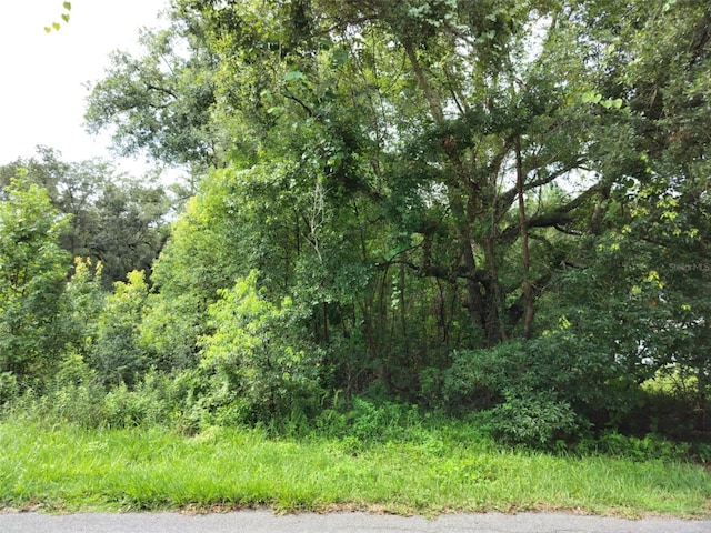 19308 Wildwood Dr, Brooksville, FL 34601 - photo 13