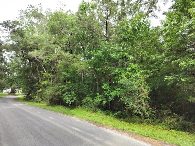 19308 Wildwood Dr, Brooksville, FL 34601 - photo 16