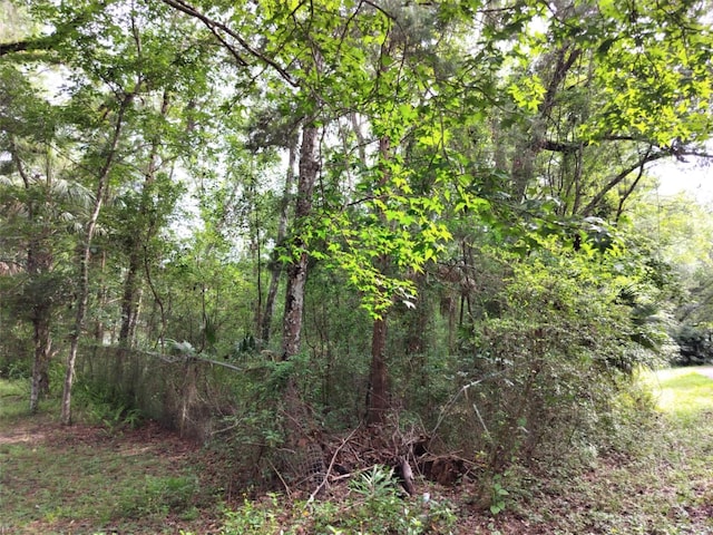 19308 Wildwood Dr, Brooksville, FL 34601 - photo 17