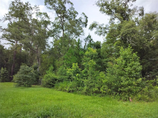 19308 Wildwood Dr, Brooksville, FL 34601 - photo 19