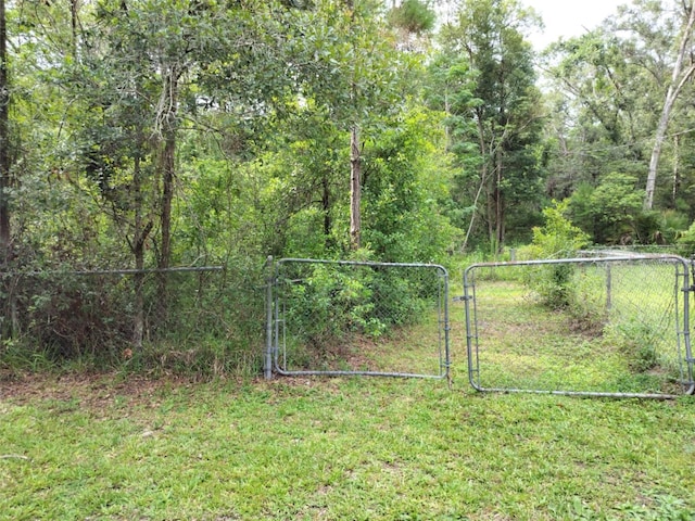 19308 Wildwood Dr, Brooksville, FL 34601 - photo 20