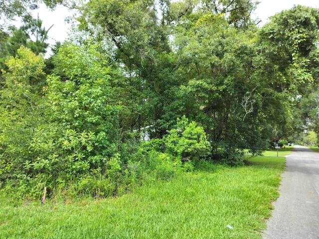 19308 Wildwood Dr, Brooksville, FL 34601 - photo 21