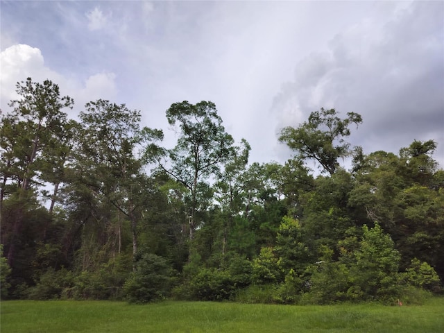 19308 Wildwood Dr, Brooksville, FL 34601 - photo 22