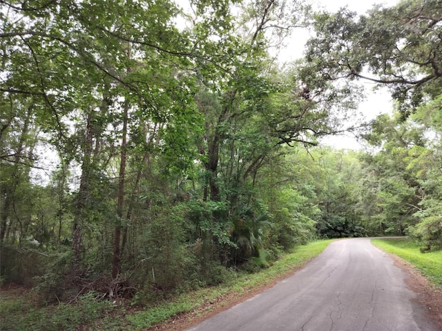 19308 Wildwood Dr, Brooksville, FL 34601 - photo 23