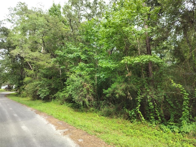 19308 Wildwood Dr, Brooksville, FL 34601 - photo 24