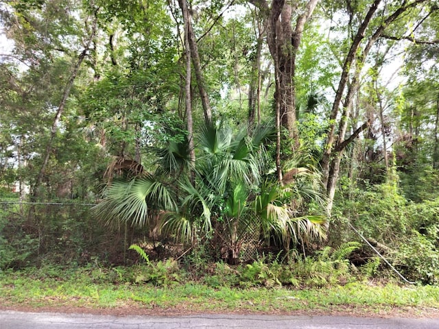 19308 Wildwood Dr, Brooksville, FL 34601 - photo 25