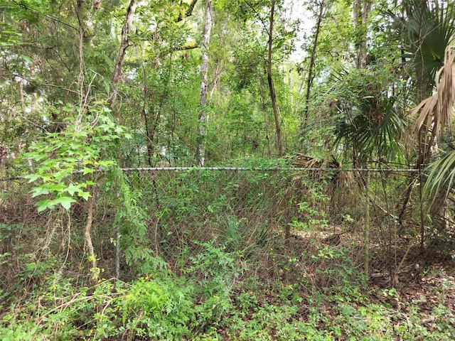 19308 Wildwood Dr, Brooksville, FL 34601 - photo 26