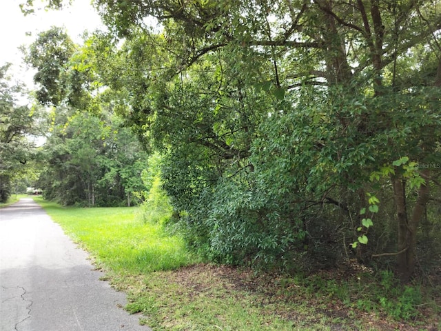 19308 Wildwood Dr, Brooksville, FL 34601 - photo 29