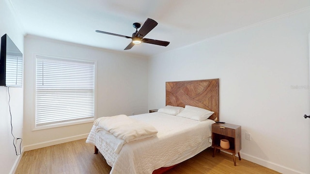 2700 Bayshore Blvd Unit 5108, Dunedin, FL 34698 - photo 8