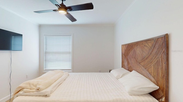 2700 Bayshore Blvd Unit 5108, Dunedin, FL 34698 - photo 28