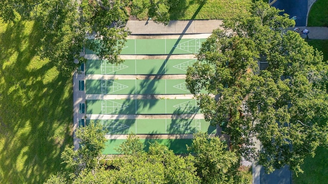 2700 Bayshore Blvd Unit 5108, Dunedin, FL 34698 - photo 39