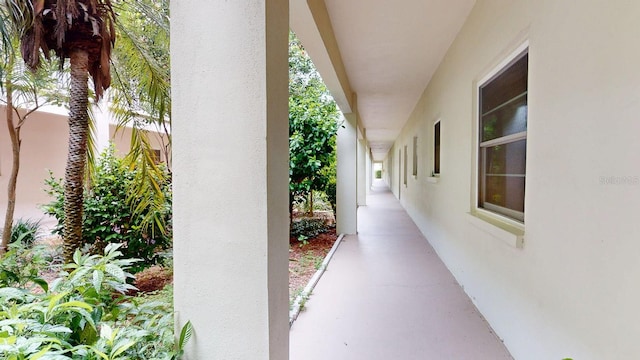 2700 Bayshore Blvd Unit 5108, Dunedin, FL 34698 - photo 49