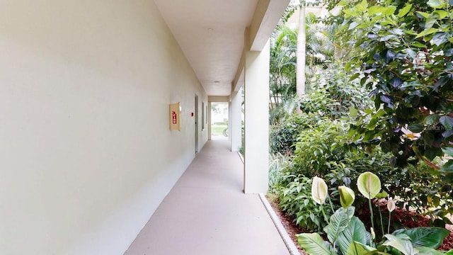 2700 Bayshore Blvd Unit 5108, Dunedin, FL 34698 - photo 53