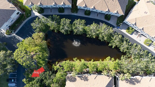 2700 Bayshore Blvd Unit 5108, Dunedin, FL 34698 - photo 54