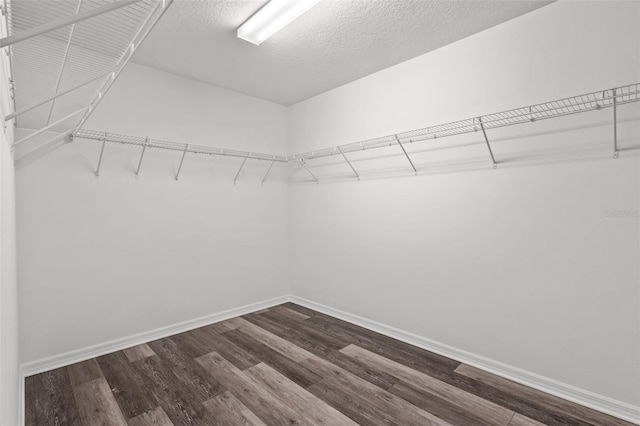 12124 Lake Blvd, Trinity, FL 34655 - spacious closet featuring dark wood-style floors