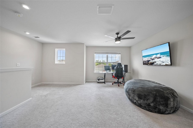 10662 Hawks Landing Dr, Land O Lakes, FL 34638 - photo 10