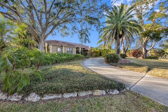 1304 N Jasmine Ave, Tarpon Springs, FL 34689 - view of ranch-style home