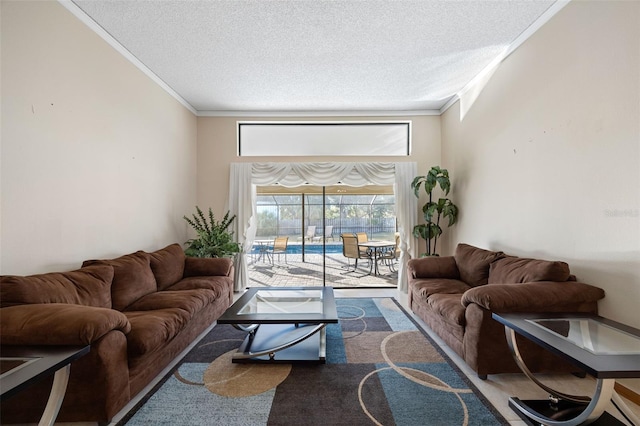 1304 N Jasmine Ave, Tarpon Springs, FL 34689 - living room with ornamental molding, a textured ceiling, and carpet flooring