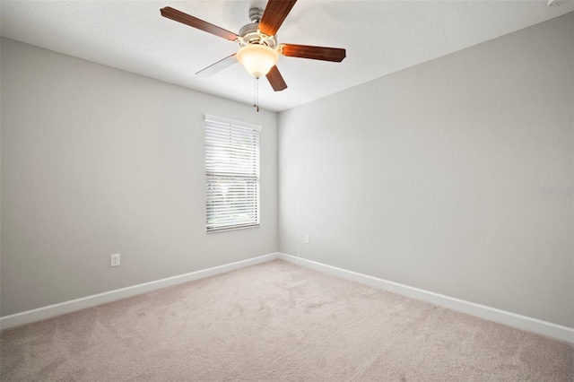 1653 Ludington Ave, Wesley Chapel, FL 33543 - photo 24