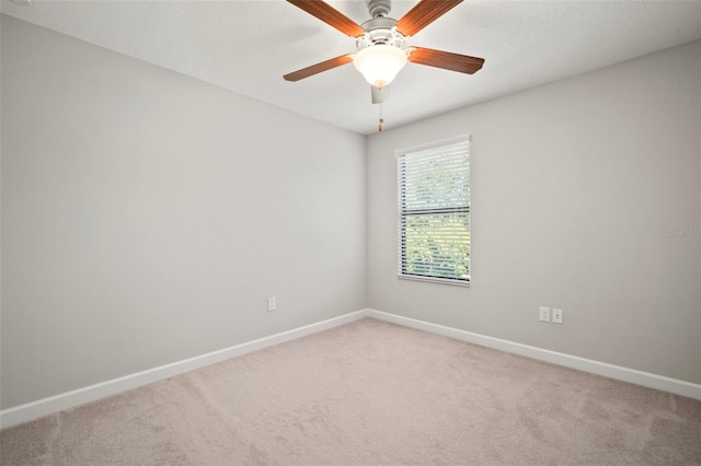 1653 Ludington Ave, Wesley Chapel, FL 33543 - photo 28