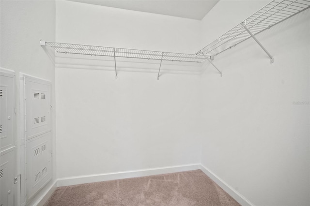 1653 Ludington Ave, Wesley Chapel, FL 33543 - photo 34