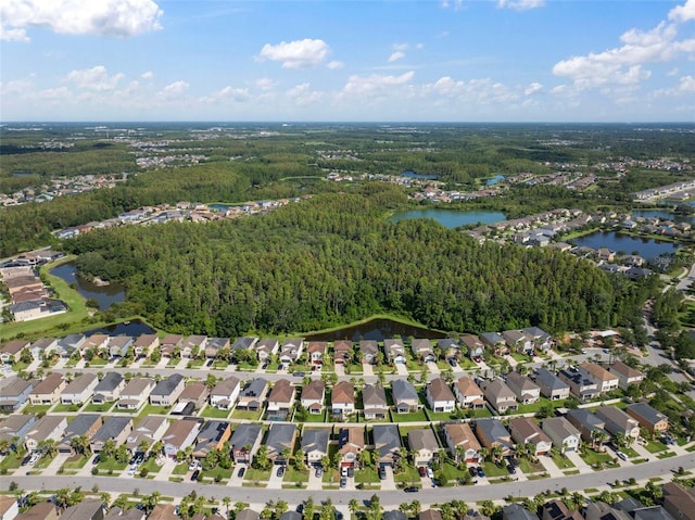 1653 Ludington Ave, Wesley Chapel, FL 33543 - photo 54
