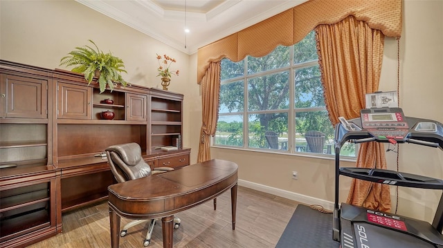 15110 Sundial Pl, Lakewood Ranch, FL 34202 - office area featuring ornamental molding, light wood-type flooring, plenty of natural light, and a raised ceiling