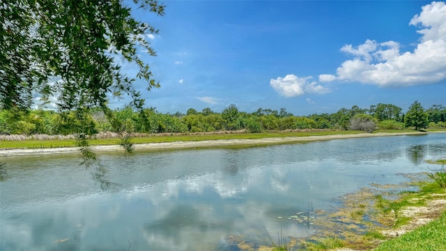 15110 Sundial Pl, Lakewood Ranch, FL 34202 - water view with a heavily wooded area