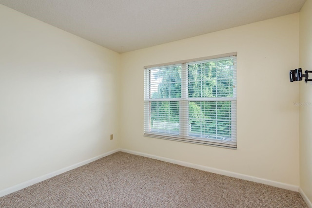 6410 Spring Flower Dr Unit 26, New Port Richey, FL 34653 - photo 23