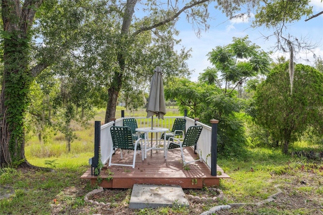 1116 Dagmar Ave, Spring Hill, FL 34606 - view of wooden terrace