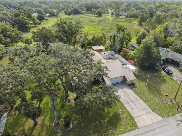 1116 Dagmar Ave, Spring Hill, FL 34606 - view of subject property