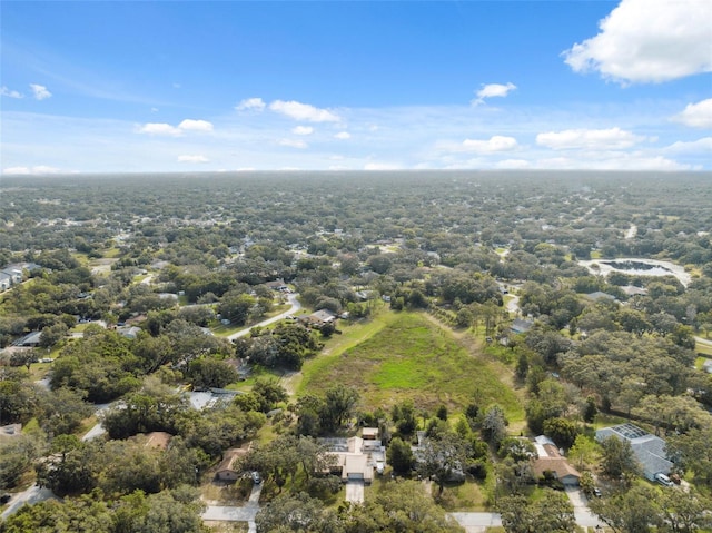 1116 Dagmar Ave, Spring Hill, FL 34606 - aerial view