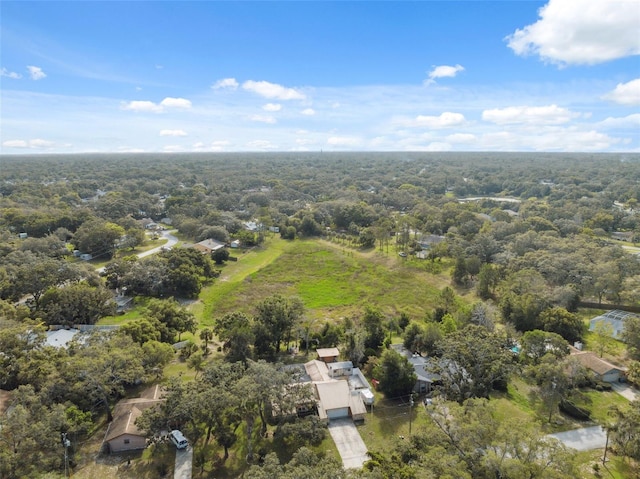 1116 Dagmar Ave, Spring Hill, FL 34606 - aerial view of property's location with a heavily wooded area