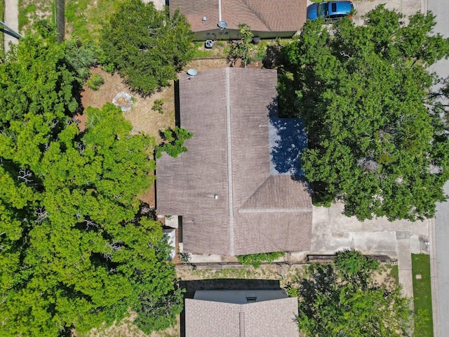 1502 Coppertree Dr, Tarpon Springs, FL 34689 - photo 29