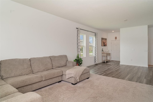 927 Kelly Fern Loop, Ruskin, FL 33570 - photo 8