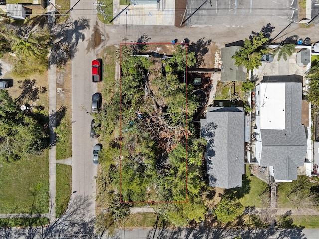 2963 Dartmouth Ave N, Saint Petersburg, FL 33713 - photo 4
