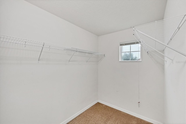 11571 84th Street Cir E Unit 106, Parrish, FL 34219 - spacious closet with carpet
