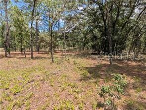 LOT25 NW Ridgewood Rd, Dunnellon, FL 34431 - photo 1