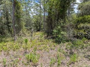 LOT25 NW Ridgewood Rd, Dunnellon, FL 34431 - photo 3