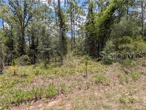 LOT25 NW Ridgewood Rd, Dunnellon, FL 34431 - photo 4