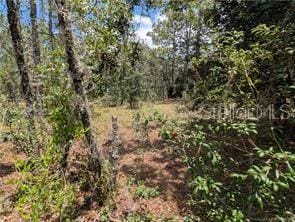 LOT25 NW Ridgewood Rd, Dunnellon, FL 34431 - photo 6