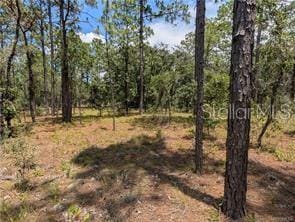 LOT25 NW Ridgewood Rd, Dunnellon, FL 34431 - photo 7