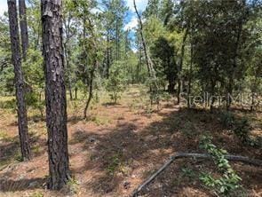 LOT25 NW Ridgewood Rd, Dunnellon, FL 34431 - photo 8